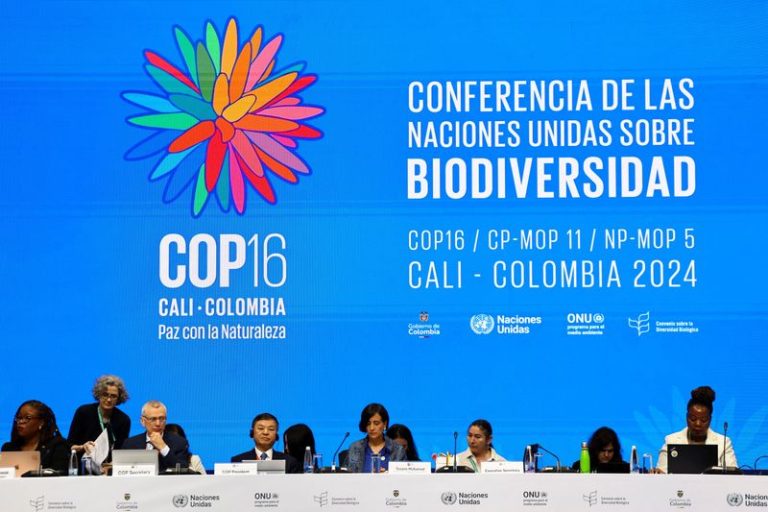 As UN COP16 nature talks are gridlocked, scientists warn of extinction risks
