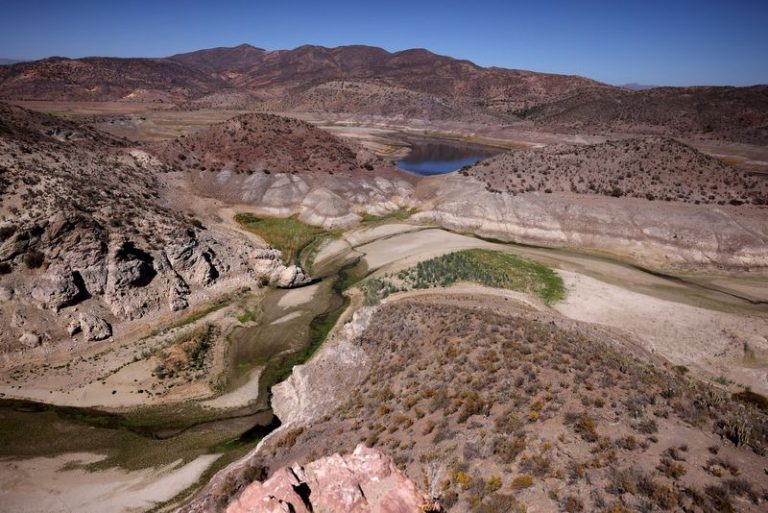 Exclusive-UN calls for $2.6 trillion investment to reverse land degradation