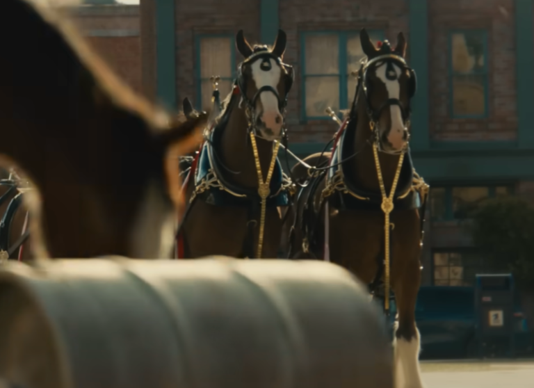 Super Bowl commercials 2025: Watch best big game’s best ads