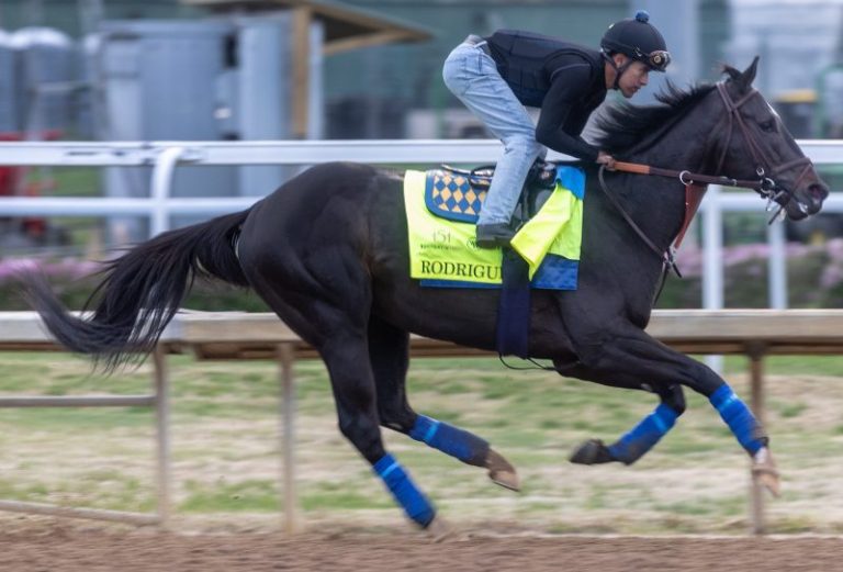 Preakness Stakes: Early favorite, Rodriguez, out of race with an injury