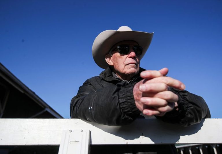 Legendary racehorse trainer D. Wayne Lukas dies at 89