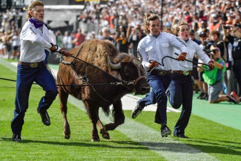 Colorado mascot retiring due to ‘an indifference to running’