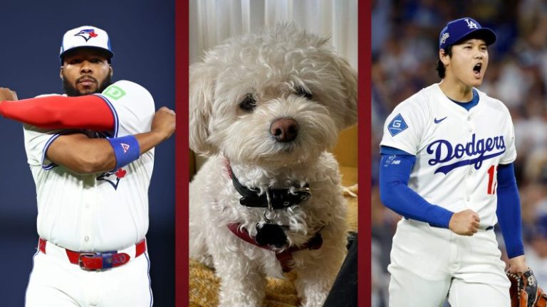World Series predictions: Man vs dog pick Dodgers vs Blue Jays